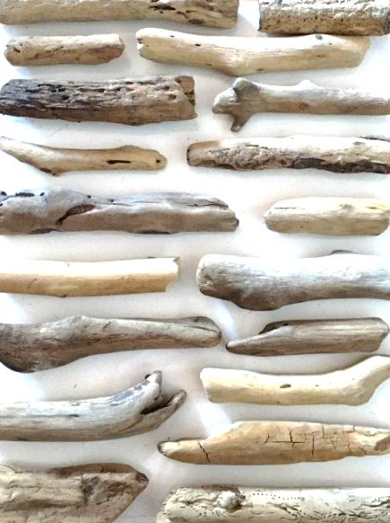 Bois flottés œuvres uniques