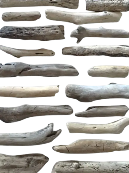 Œuvre unique en bois flottés Élise Gonthier